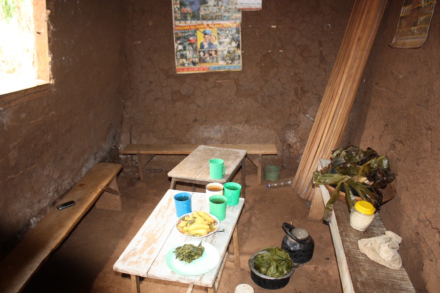 The lunch that Jjajja had offered us, typical Ugandan food called Matooke (boiled bananas)