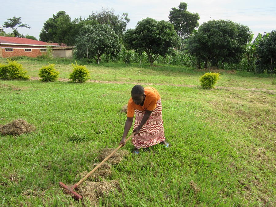 Teen girl raking grass area.