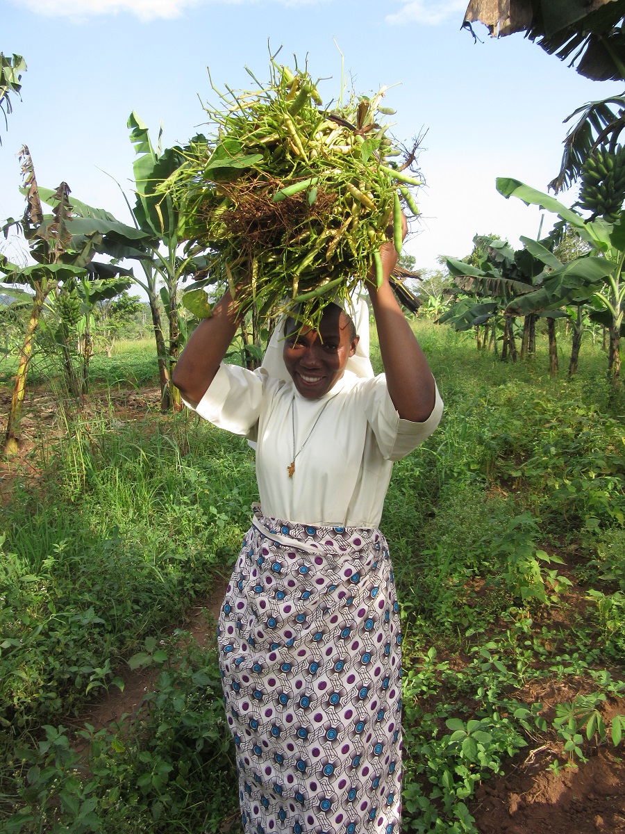 Sr. Carolyne carries home a bundle of freshly picked beans.