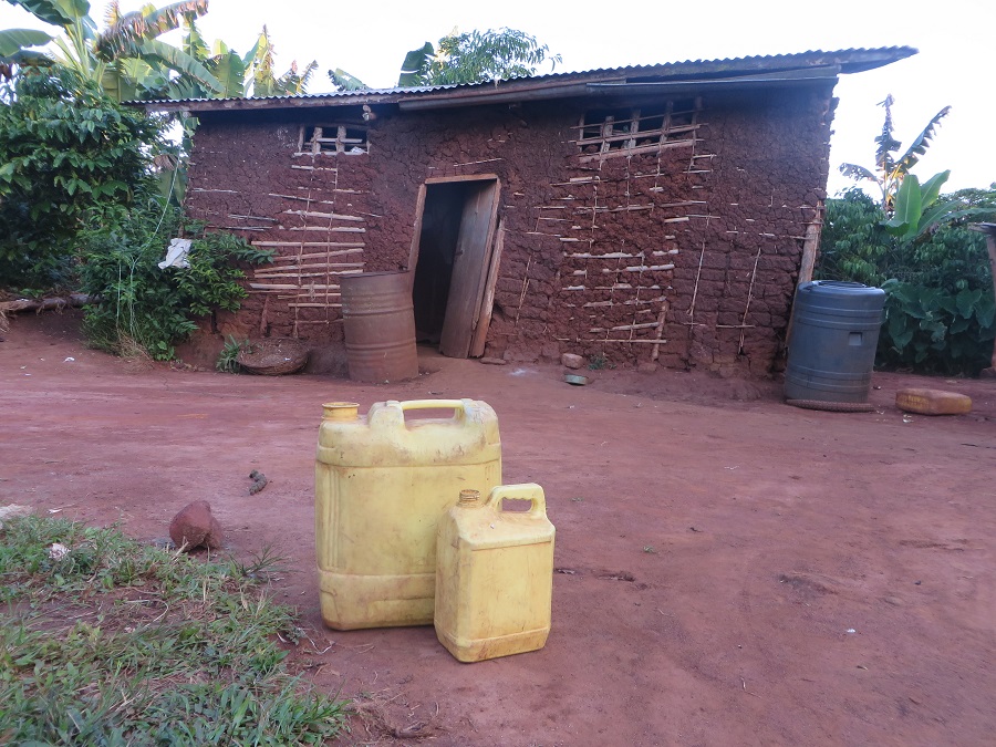 The family The family