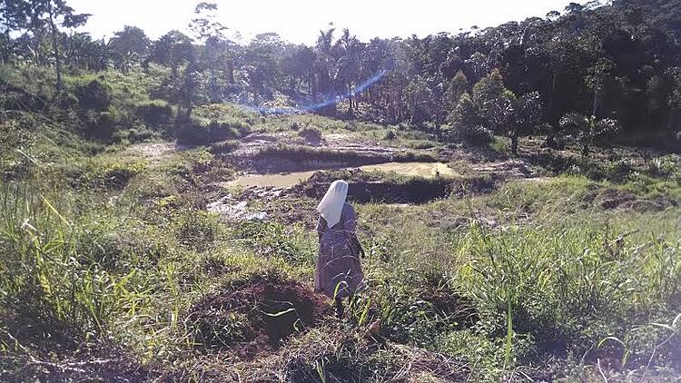 Fish_Pond_3 Fish_Pond_3