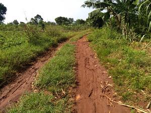 WhatsApp Image 2019-07-09 at 2.50.46 PM