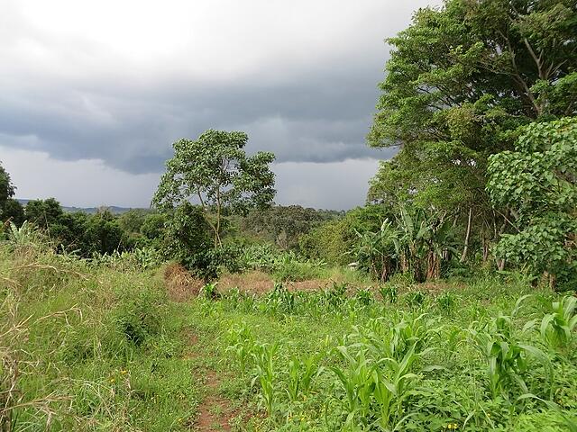 WhyAfrica3 Just before a storm.jpg