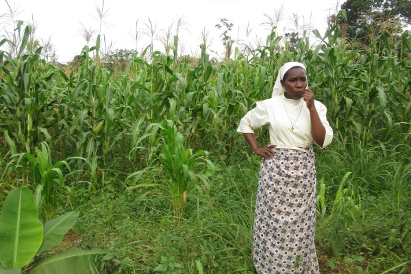 Child Sponsorship Programs Coordinator: Nurturing Children and Plants