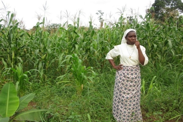 September 25th, 2016 - Twenty-sixth Sunday in Ordinary Time