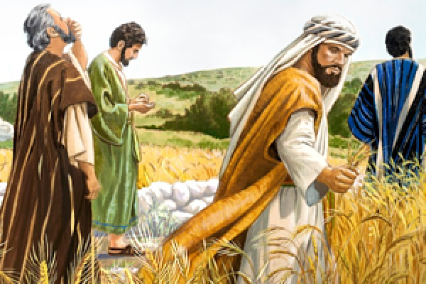 Where, then, did these weeds come from?