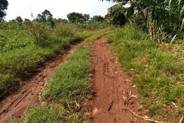 Justine: A Story of Loss & Hope